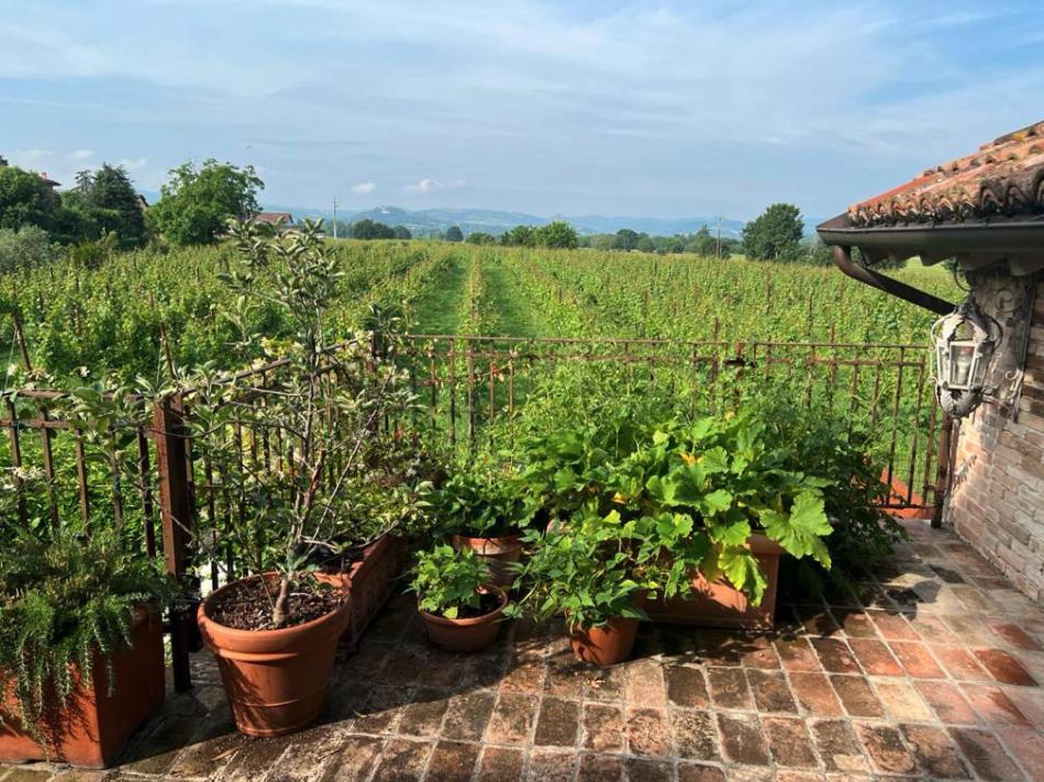 Casale Hortensia Reggio nell'Emilia Exterior foto